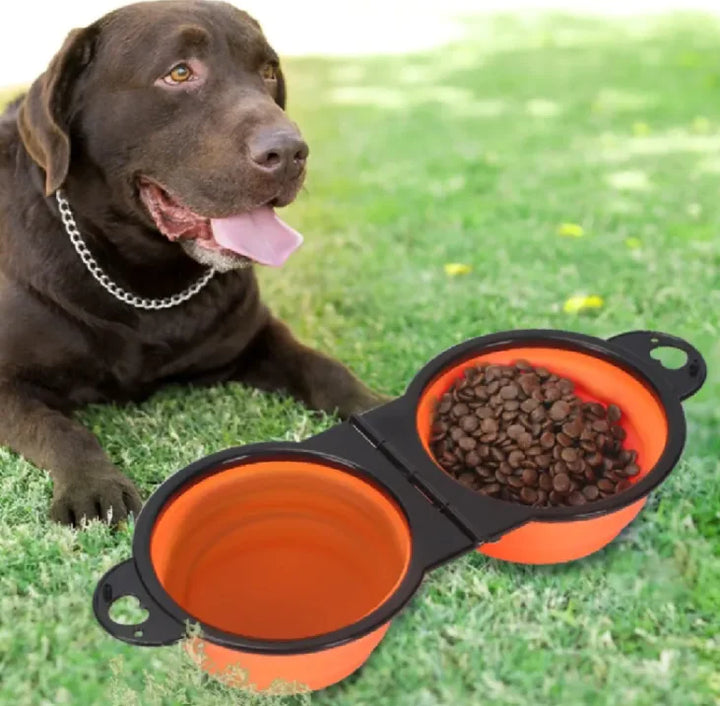 Portable/ Collapsible Dog Bowl
