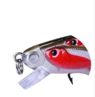 "Tailbait for Bass Fishing and Lure Accessories"